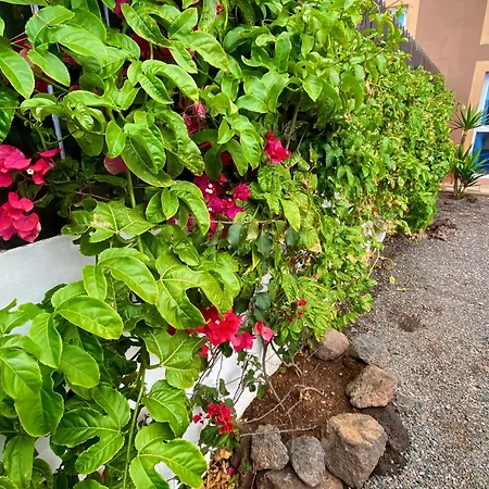 Apartment Blue Wave House Corralejo