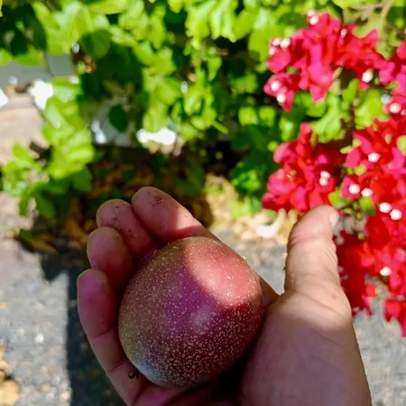 Daire Blue Wave House Corralejo La Oliva