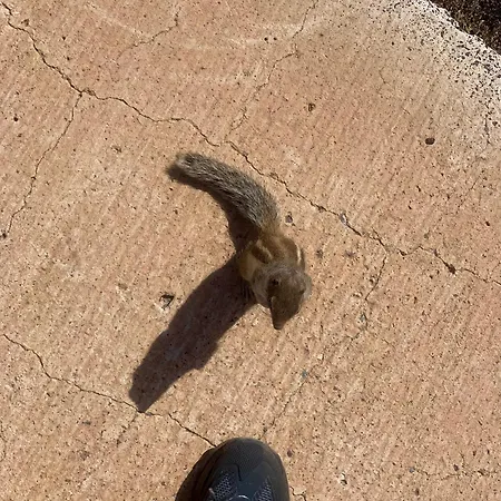 Blue Wave House Corralejo ラ・オリーバ